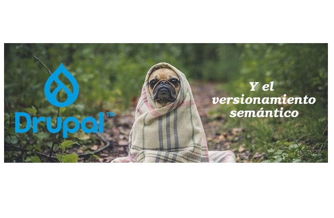 Drupal 9 y el versionamiento semántico